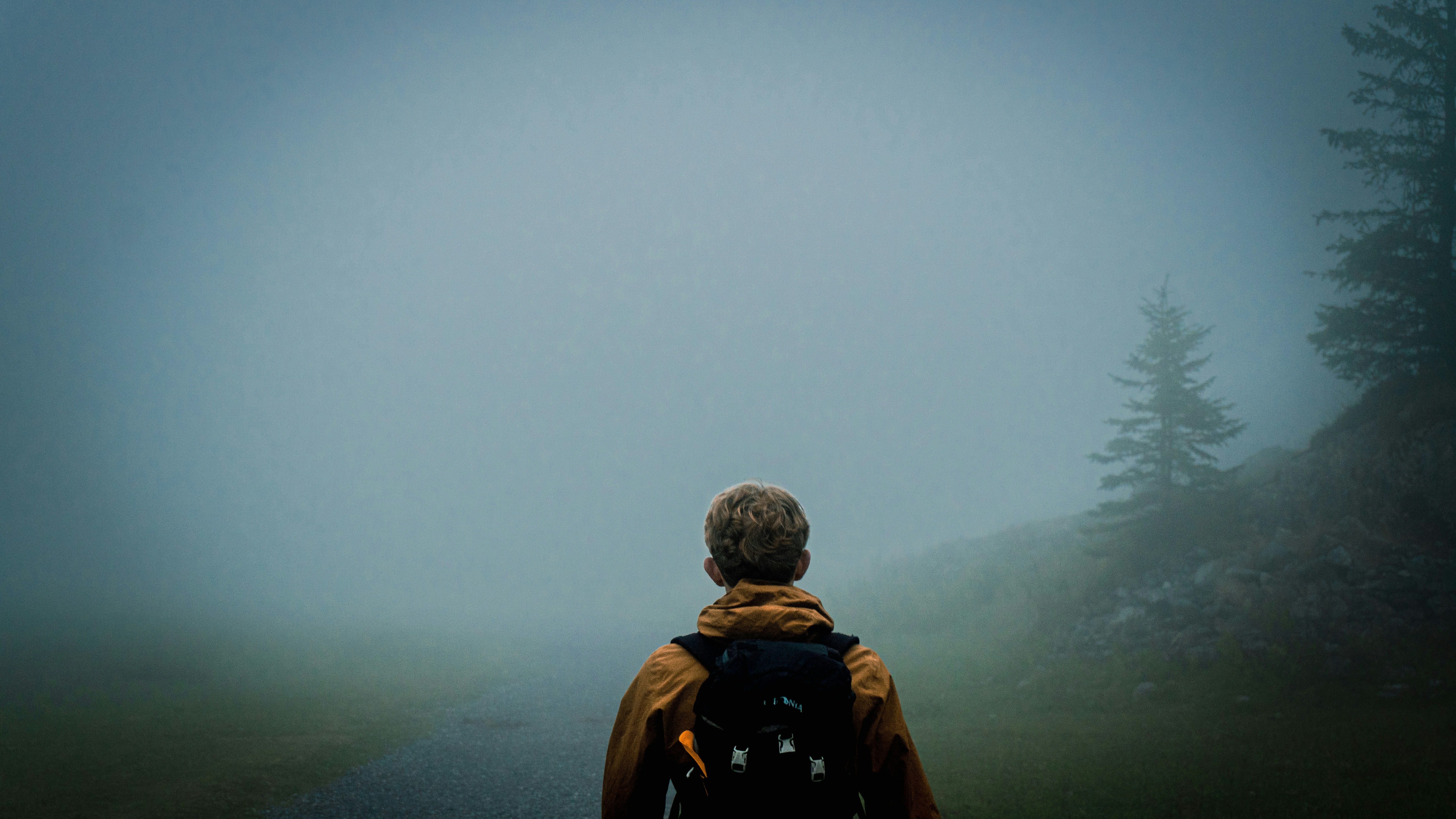 a person with a backpack looking at a foggy forest