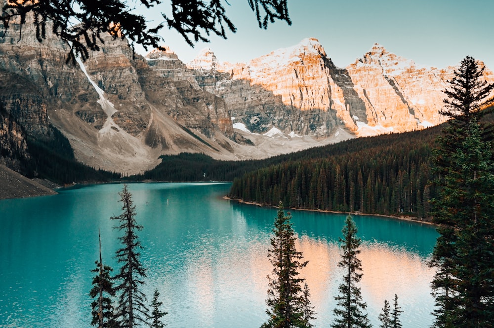 Un lago con árboles y montañas al fondo