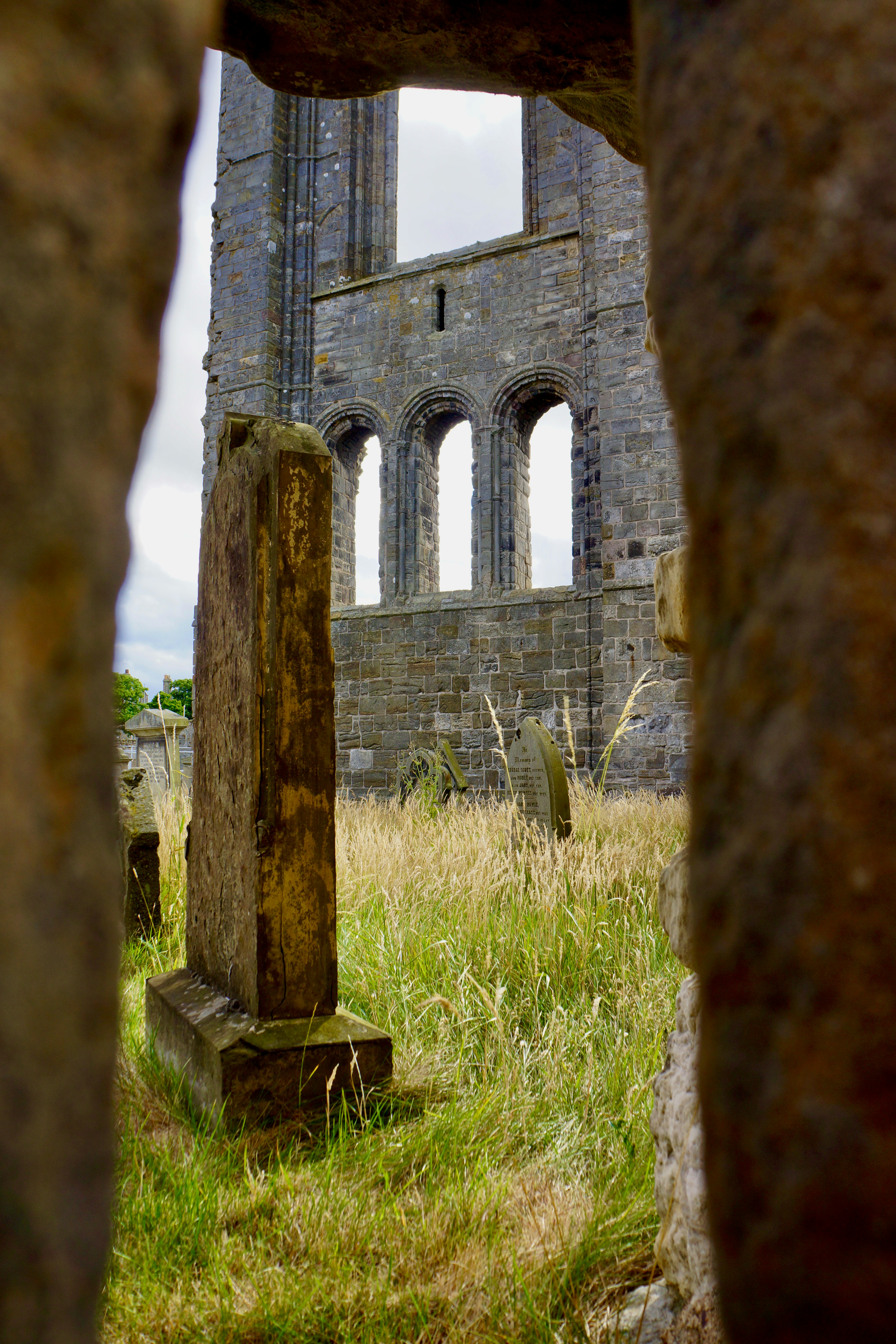 Photo by peterburdon