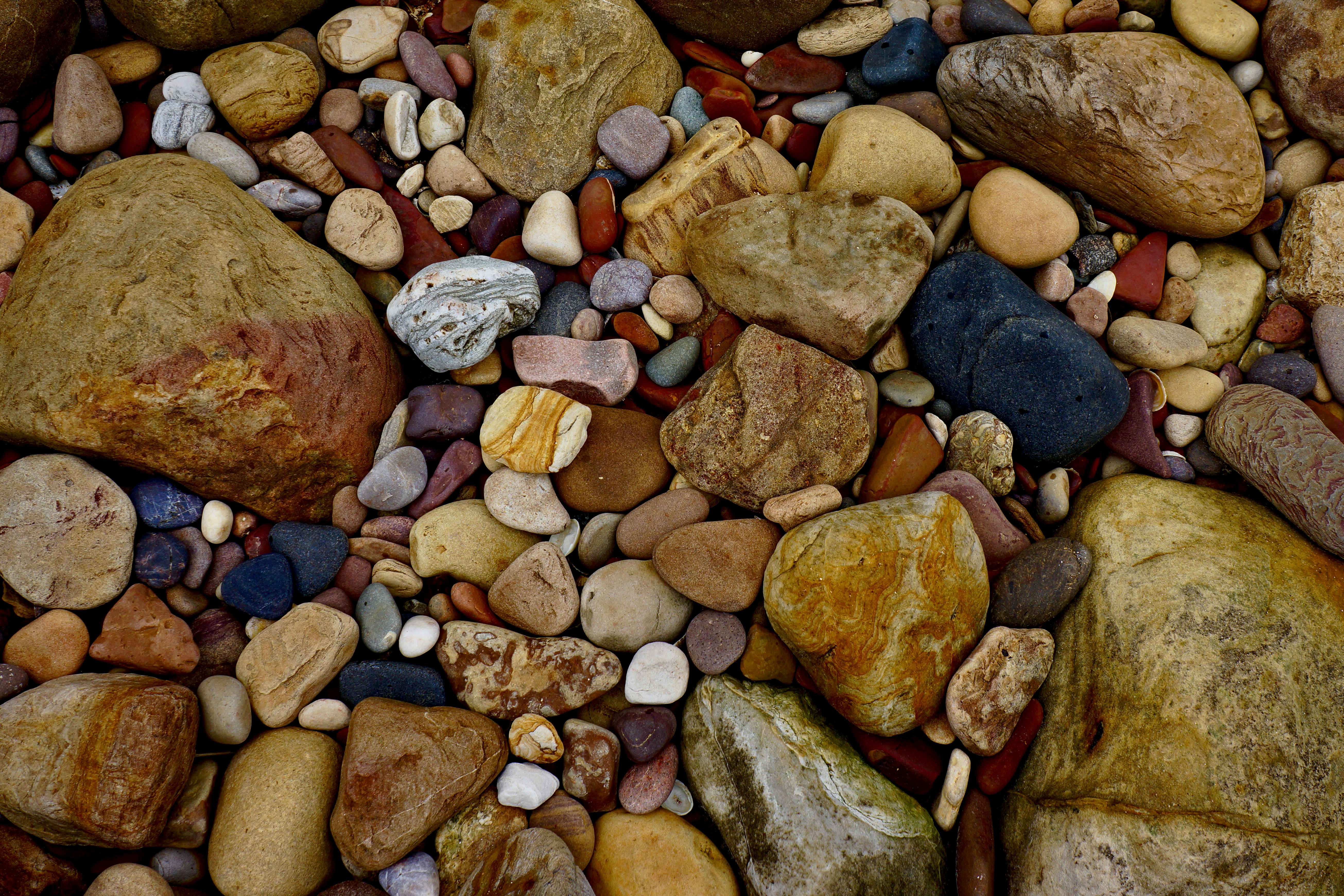 Photo by peterburdon