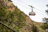 A cable car labeled 'snowbird' is suspended in mid-air, traversing a mountainous landscape. Lush green trees and rocky cliffs dominate the foreground, while the cable car travels along a wire high above. The scene conveys a sense of adventure in a natural, alpine setting.