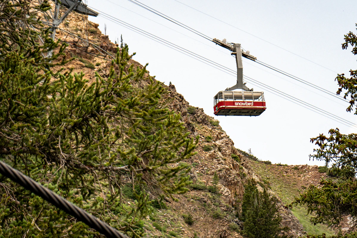 The red Snowbird aerial tram car on its cables above a rocky, tree-covered slope