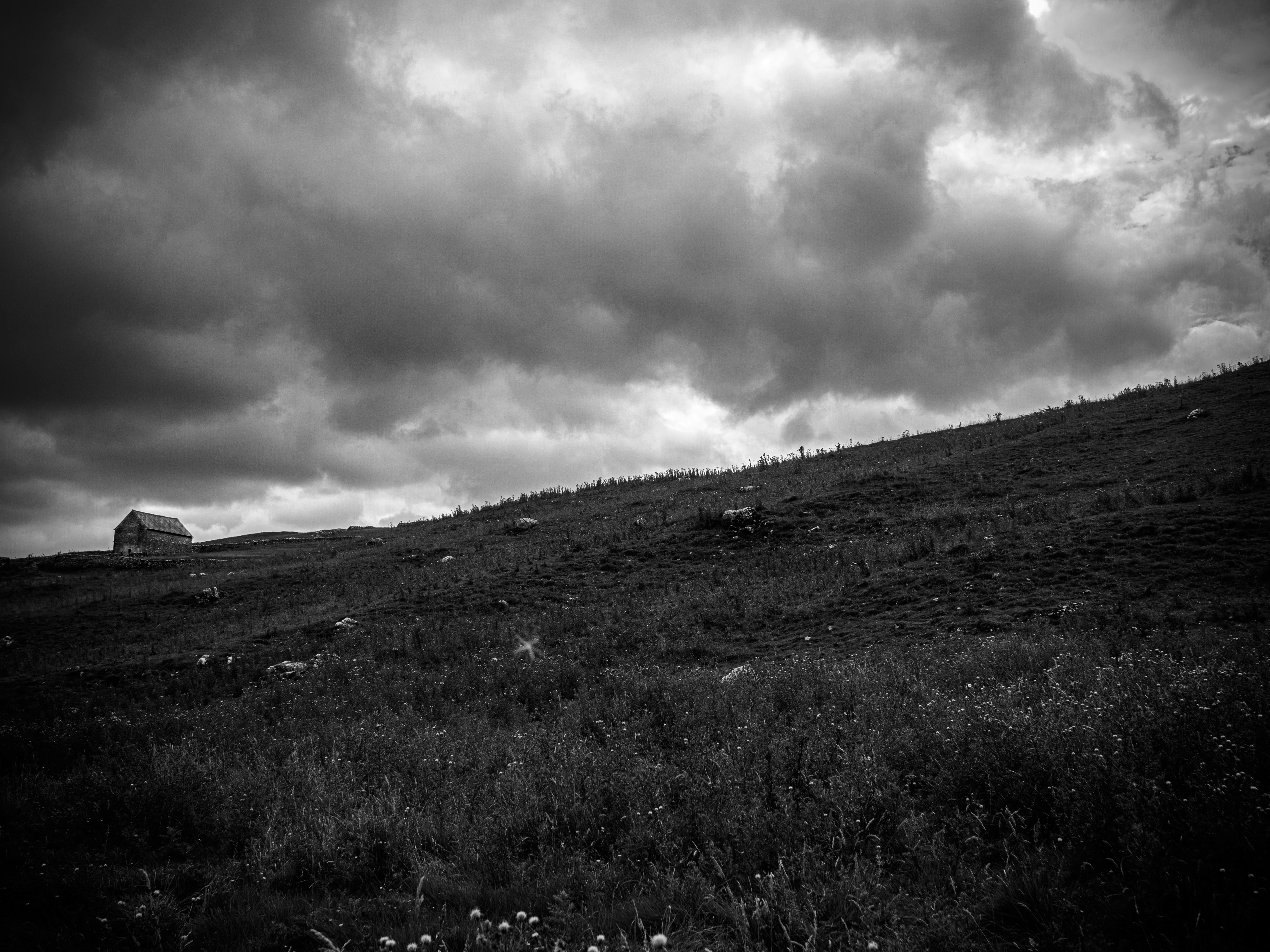 Photo by gregwillson