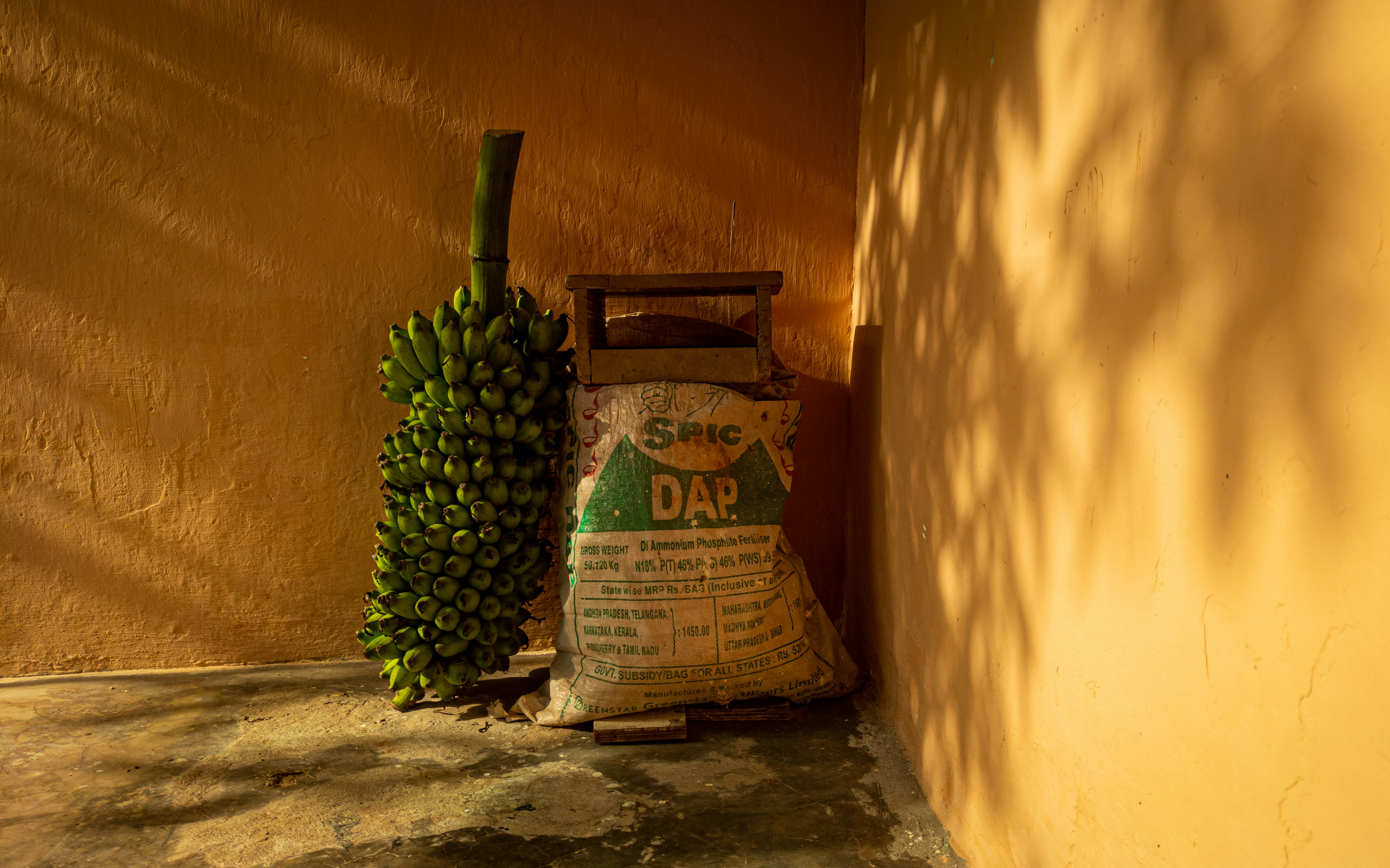 Vintage rice distillery heritage