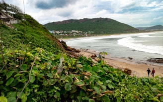 a beach with people walking on it