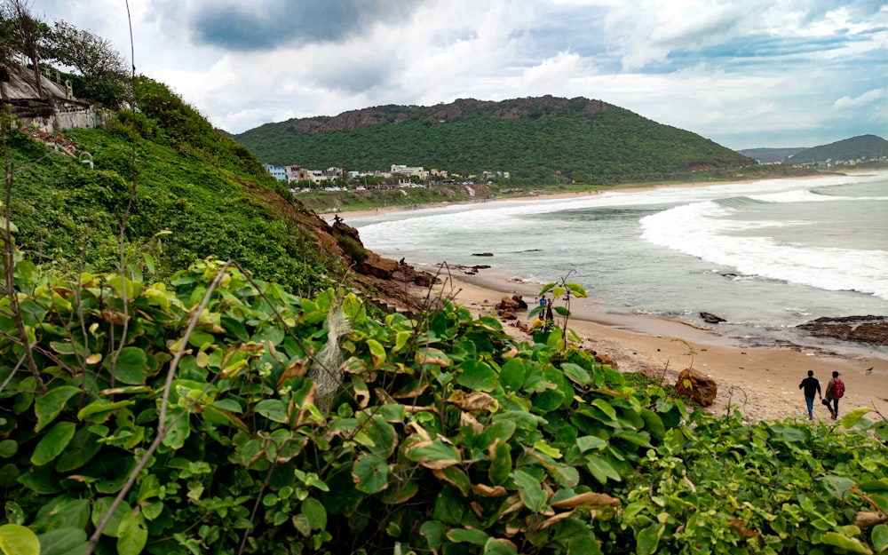 a beach with people walking on it