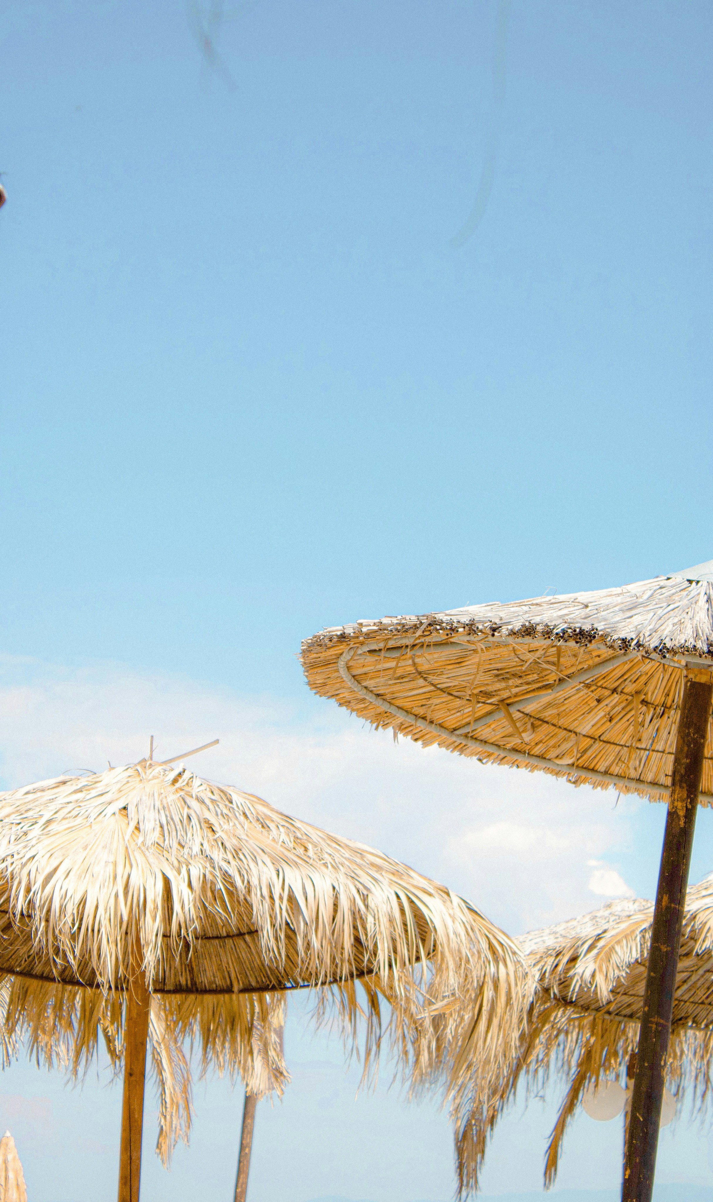 Photo by iamninoslav