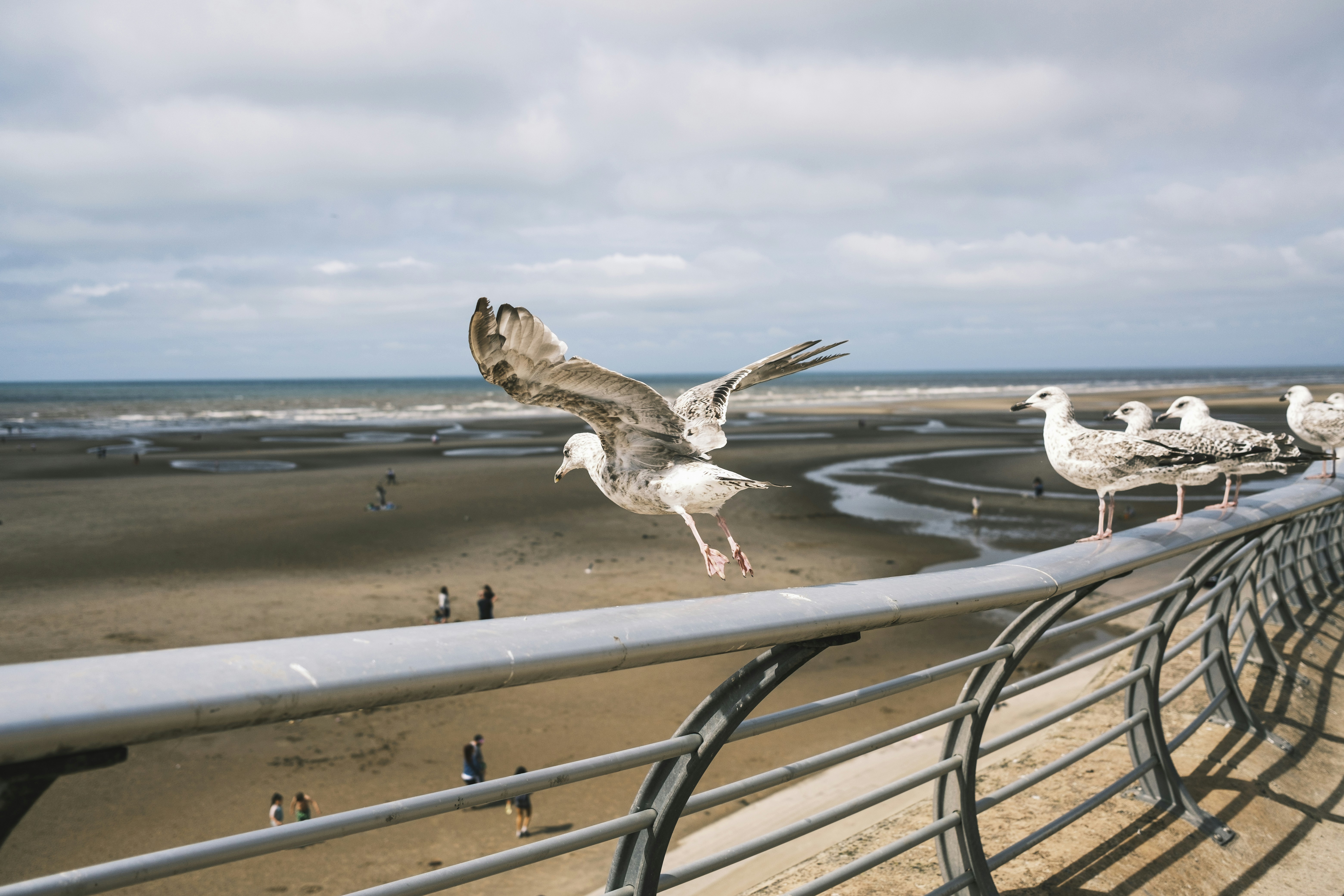 Blackpool cityscape