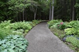 A gravel pathway winding through a well-maintained garden with stone borders.