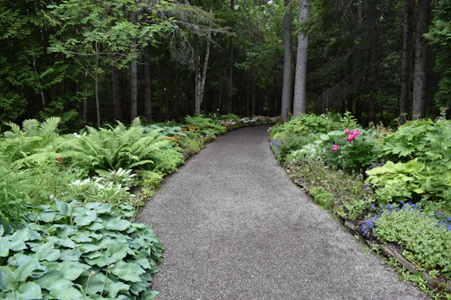 Completed gravel pathway winding through a well-maintained garden in Fredericksburg.