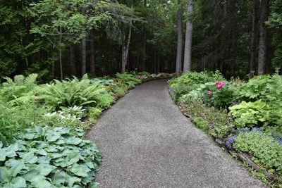 A gravel pathway winding through a well-maintained garden with stone borders.