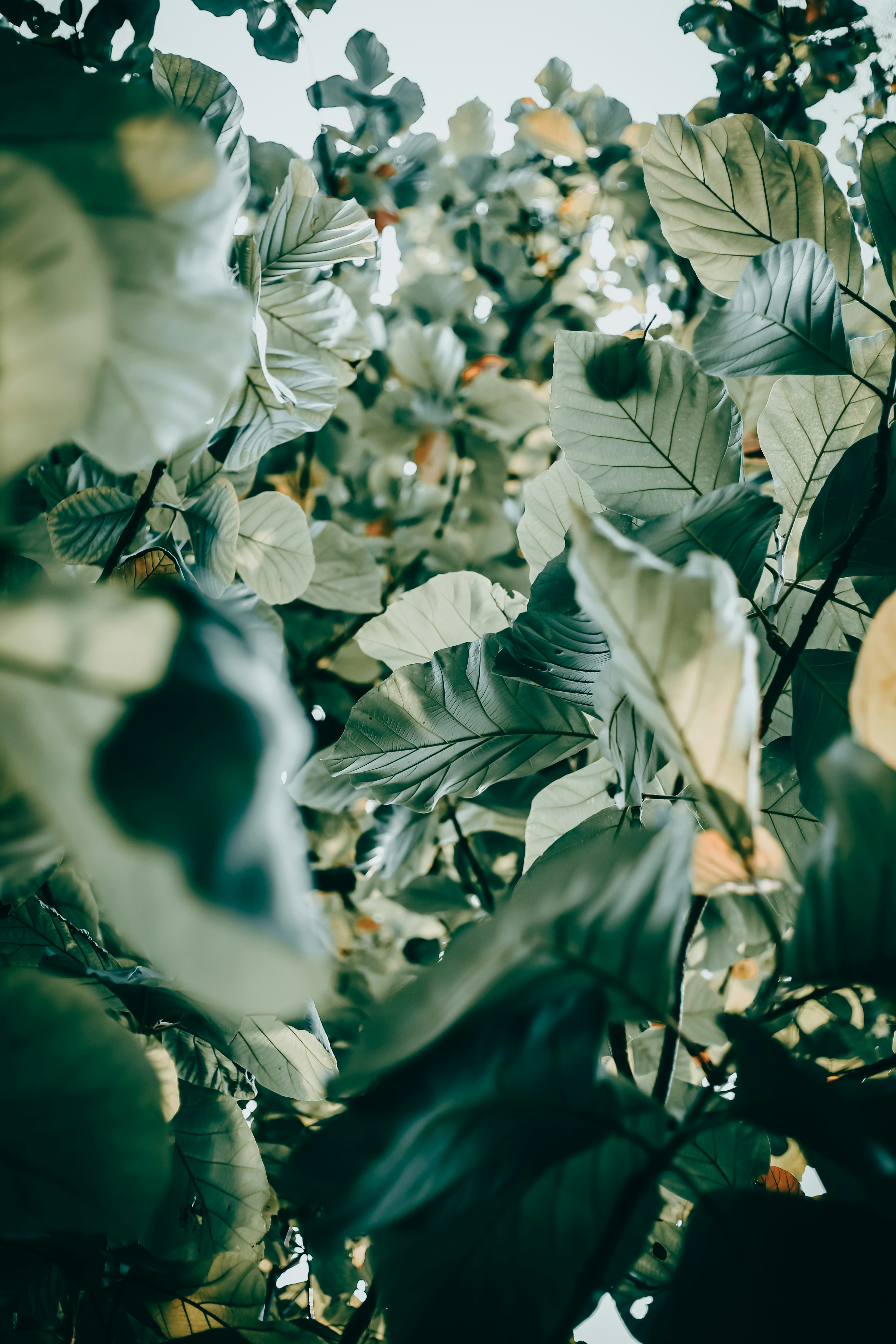 Photo by arununnikrishnan