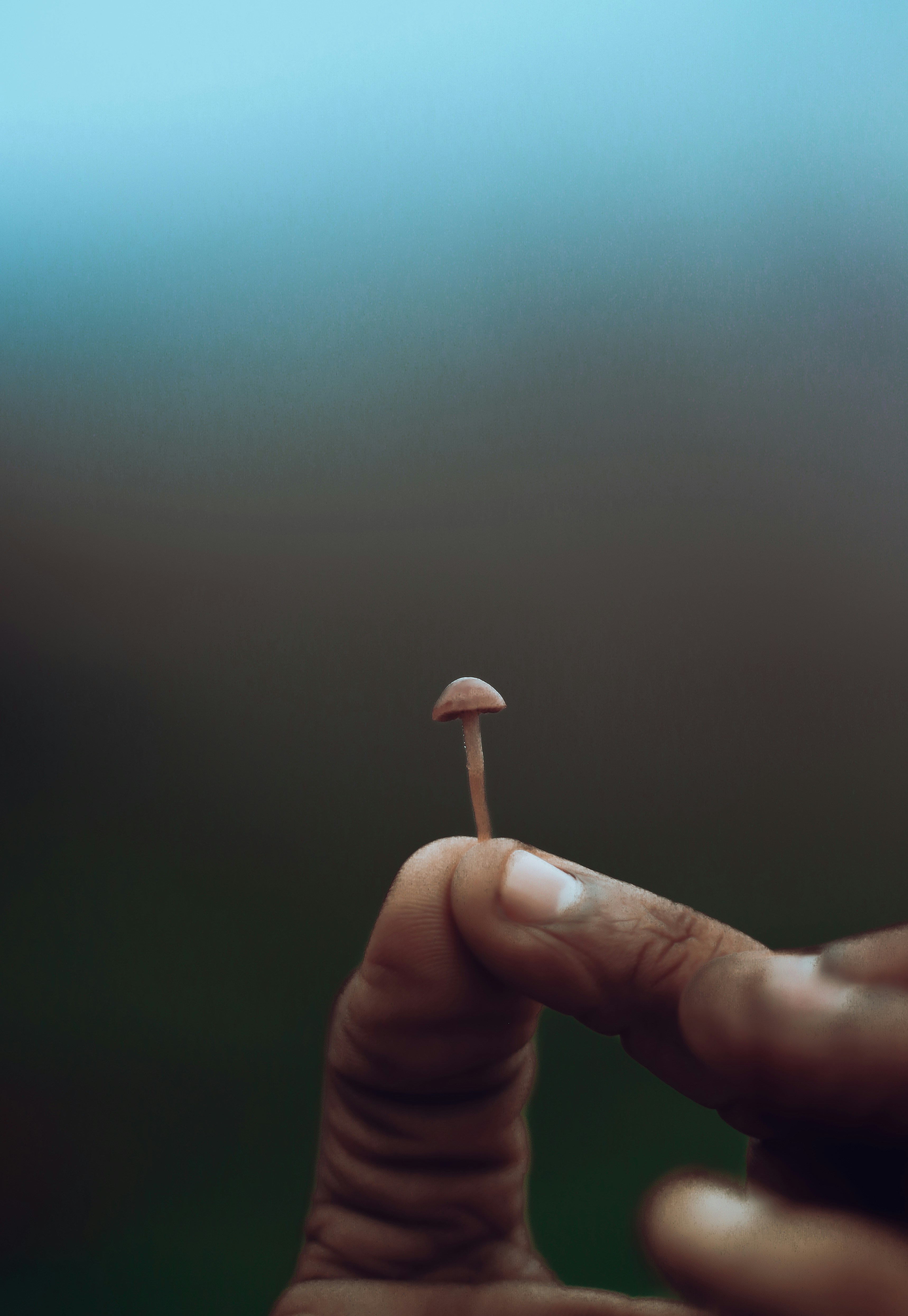 Photo by arununnikrishnan