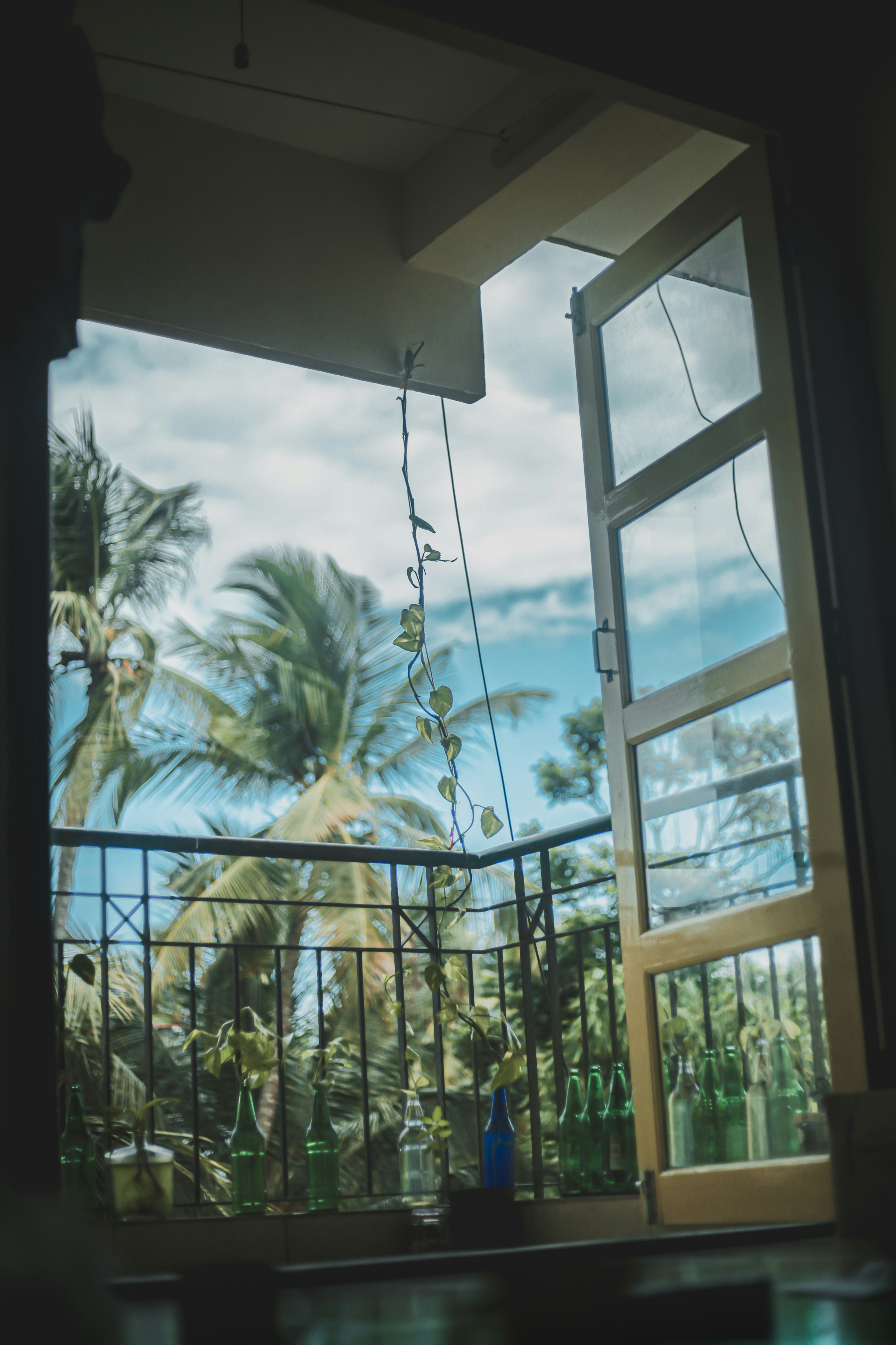 Photo by arununnikrishnan