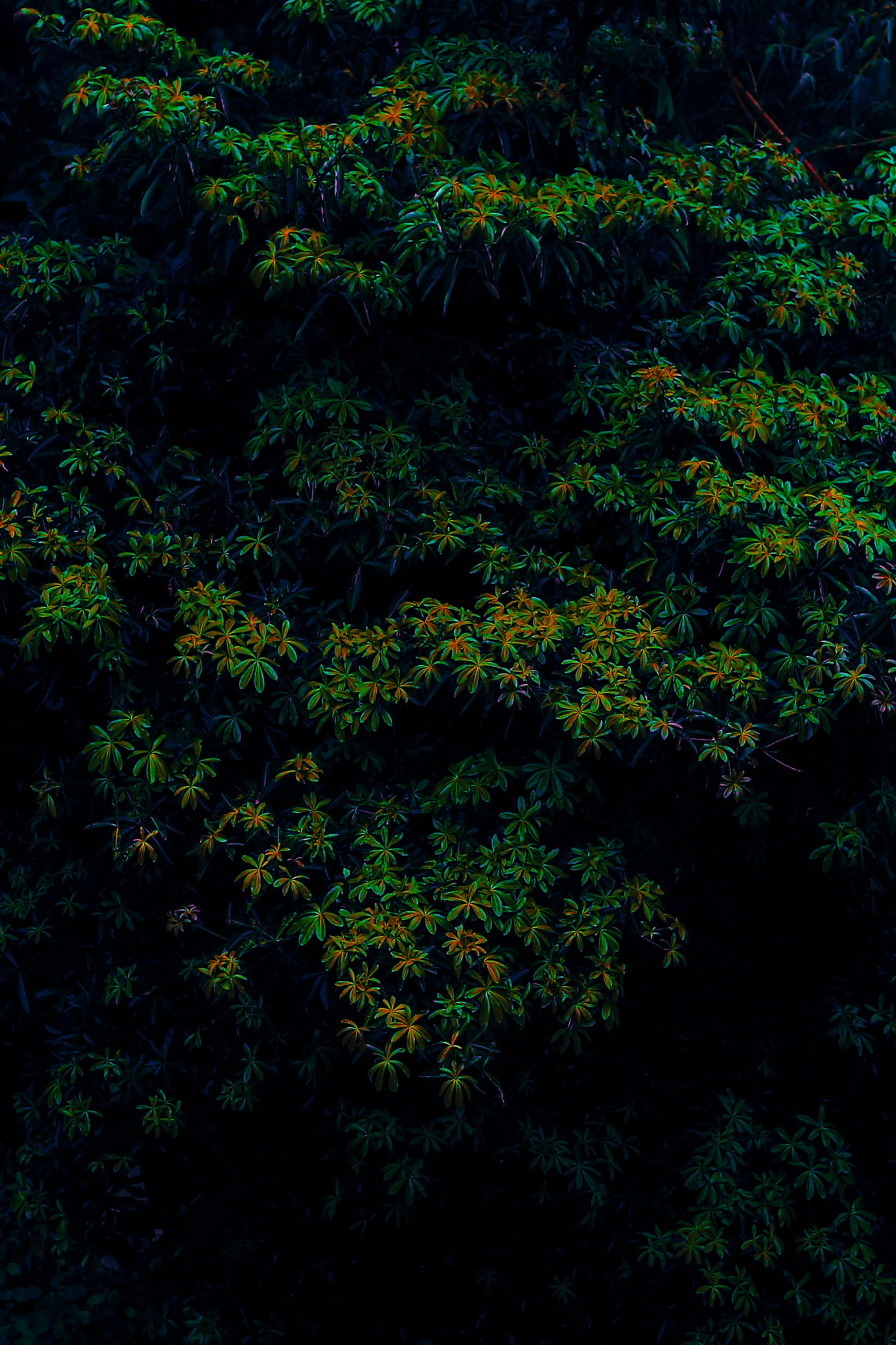 Photo by arununnikrishnan