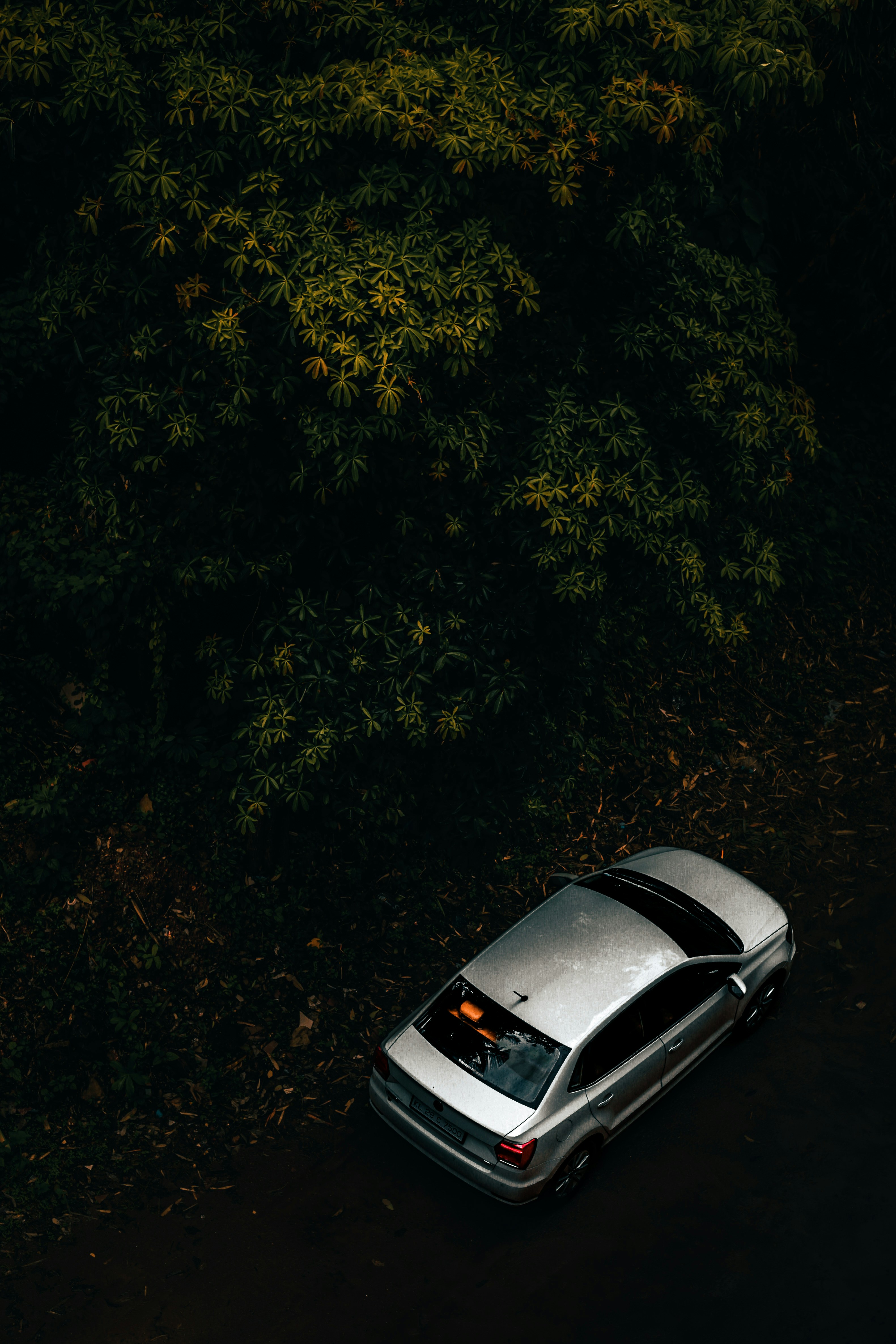 Photo by arununnikrishnan