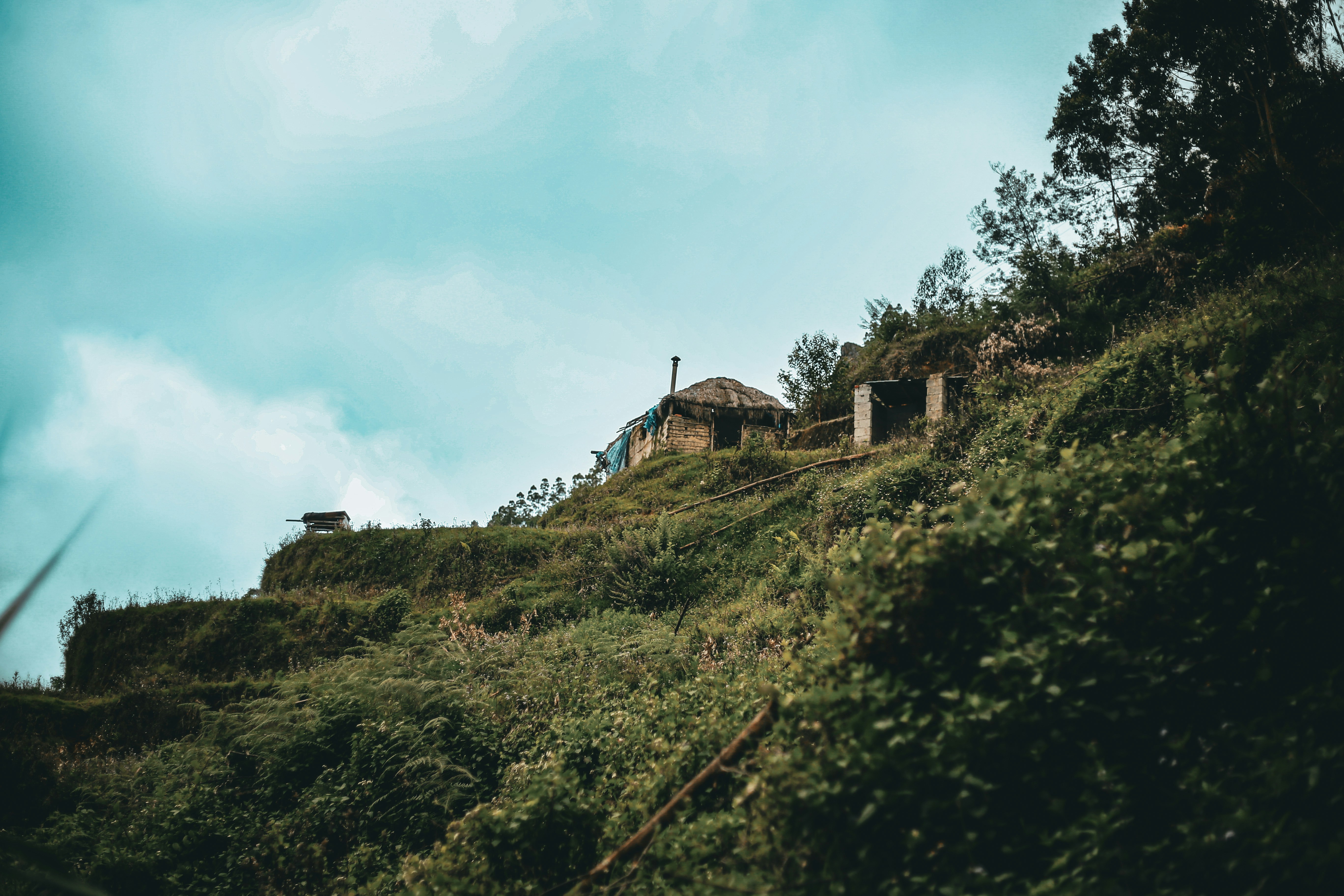 Photo by arununnikrishnan