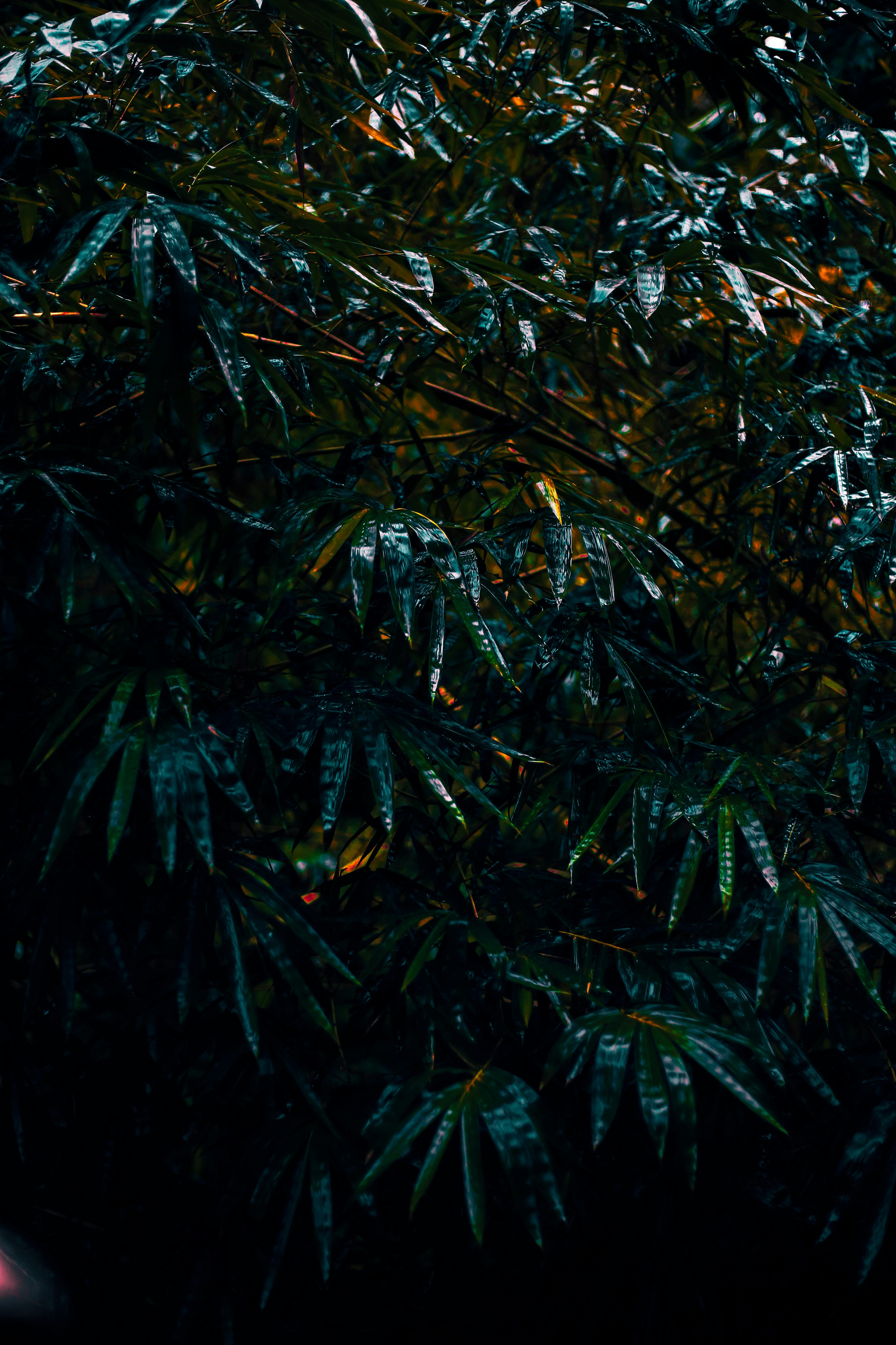 Photo by arununnikrishnan