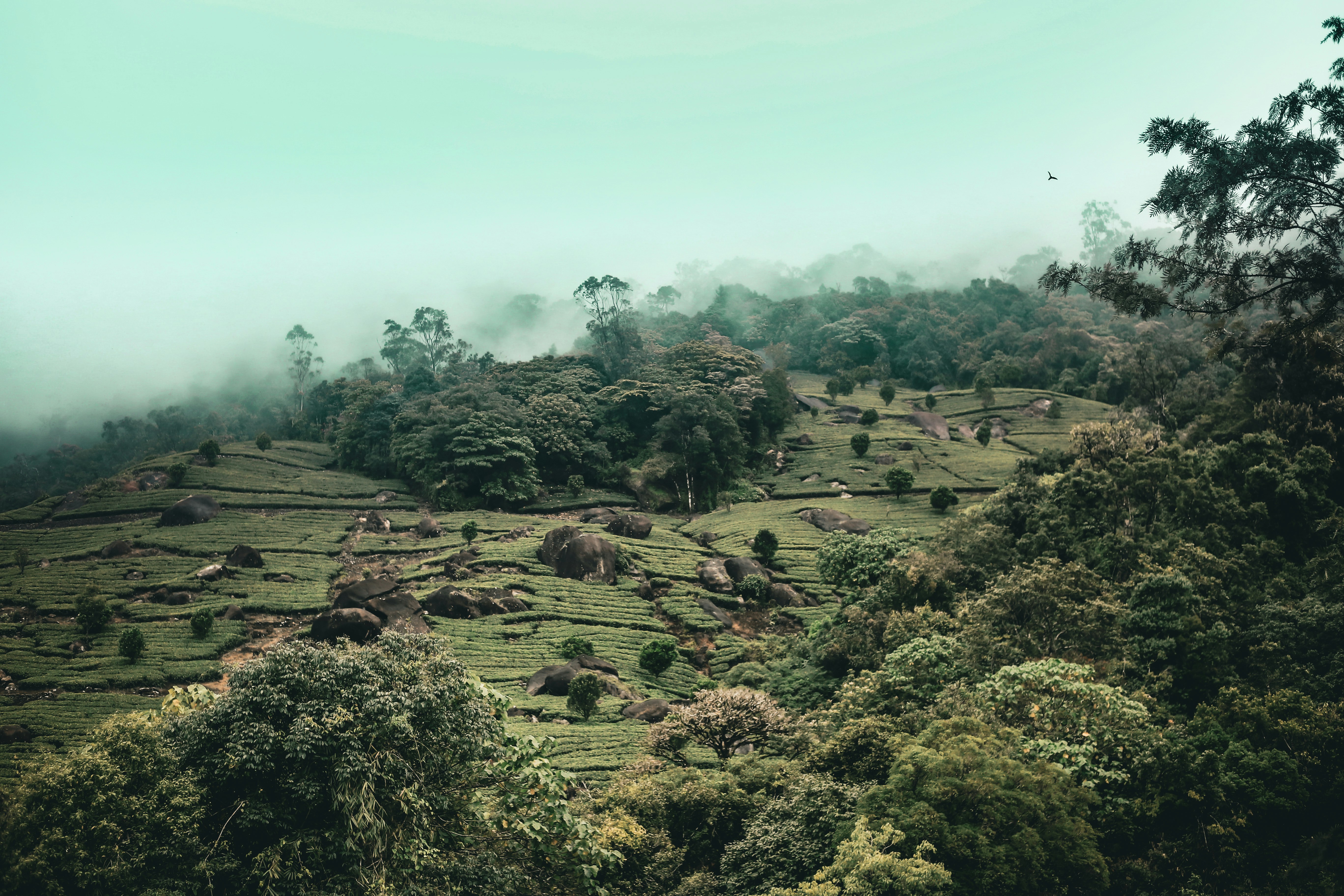 Photo by arununnikrishnan