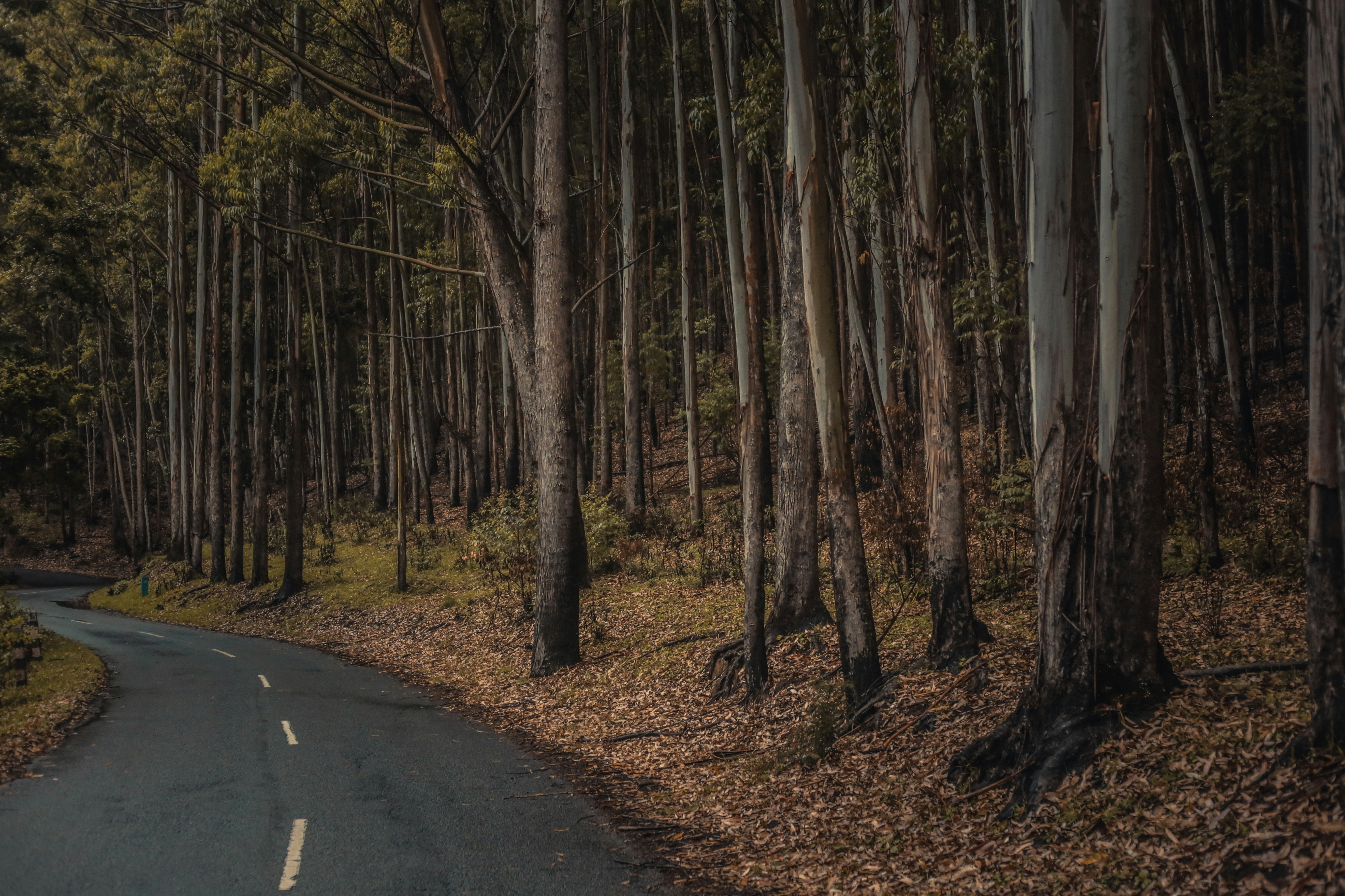 Photo by arununnikrishnan