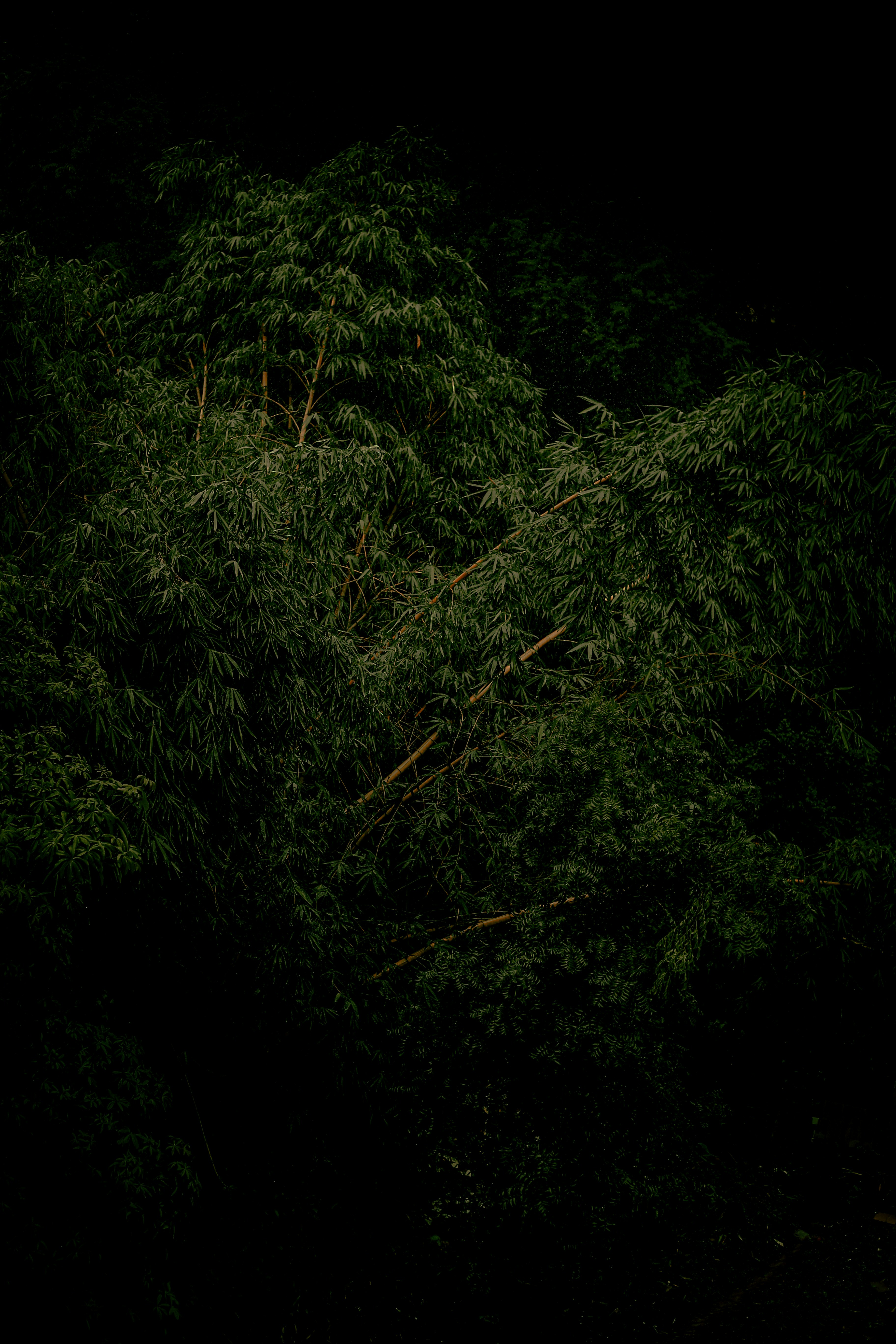 Photo by arununnikrishnan