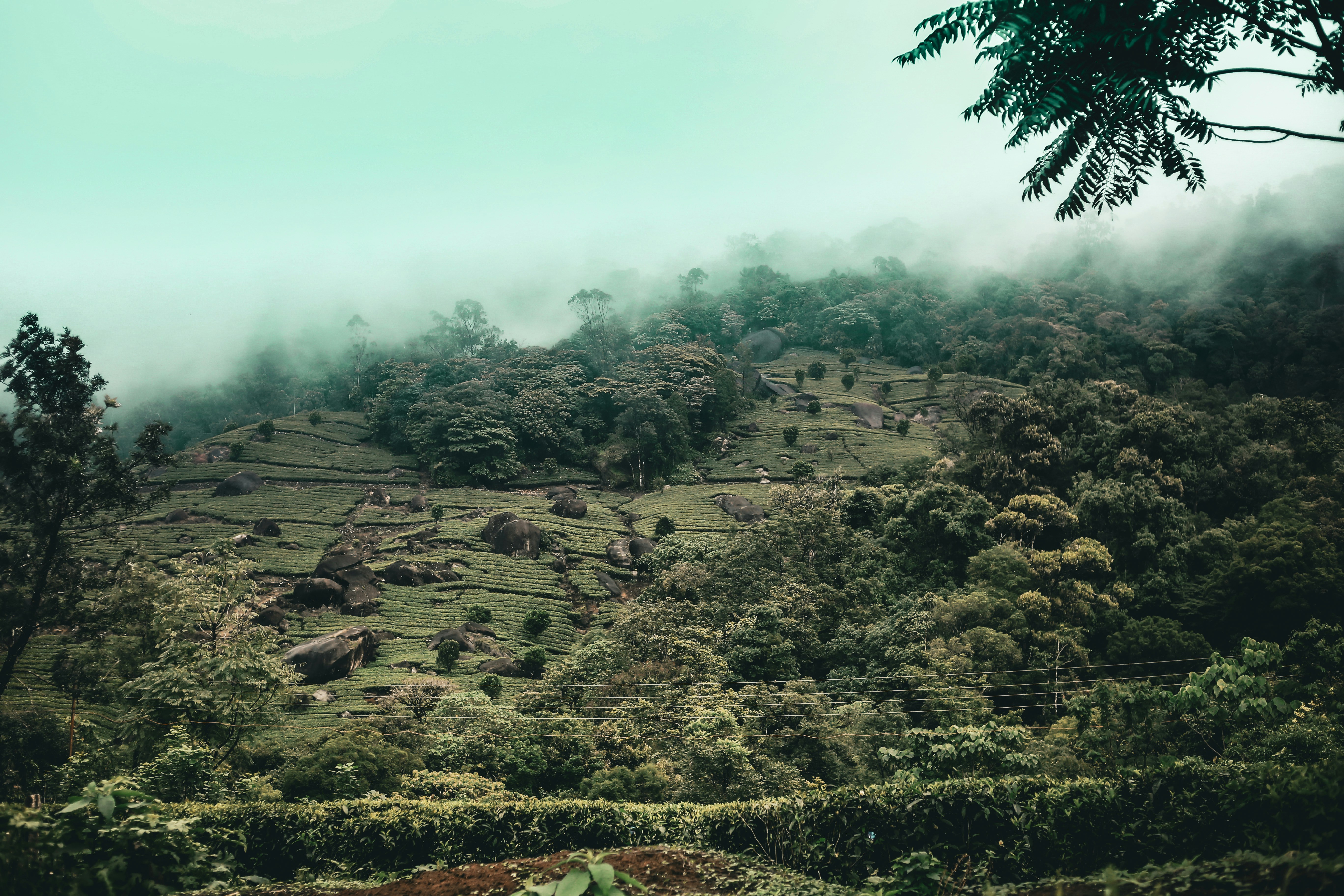 Photo by arununnikrishnan