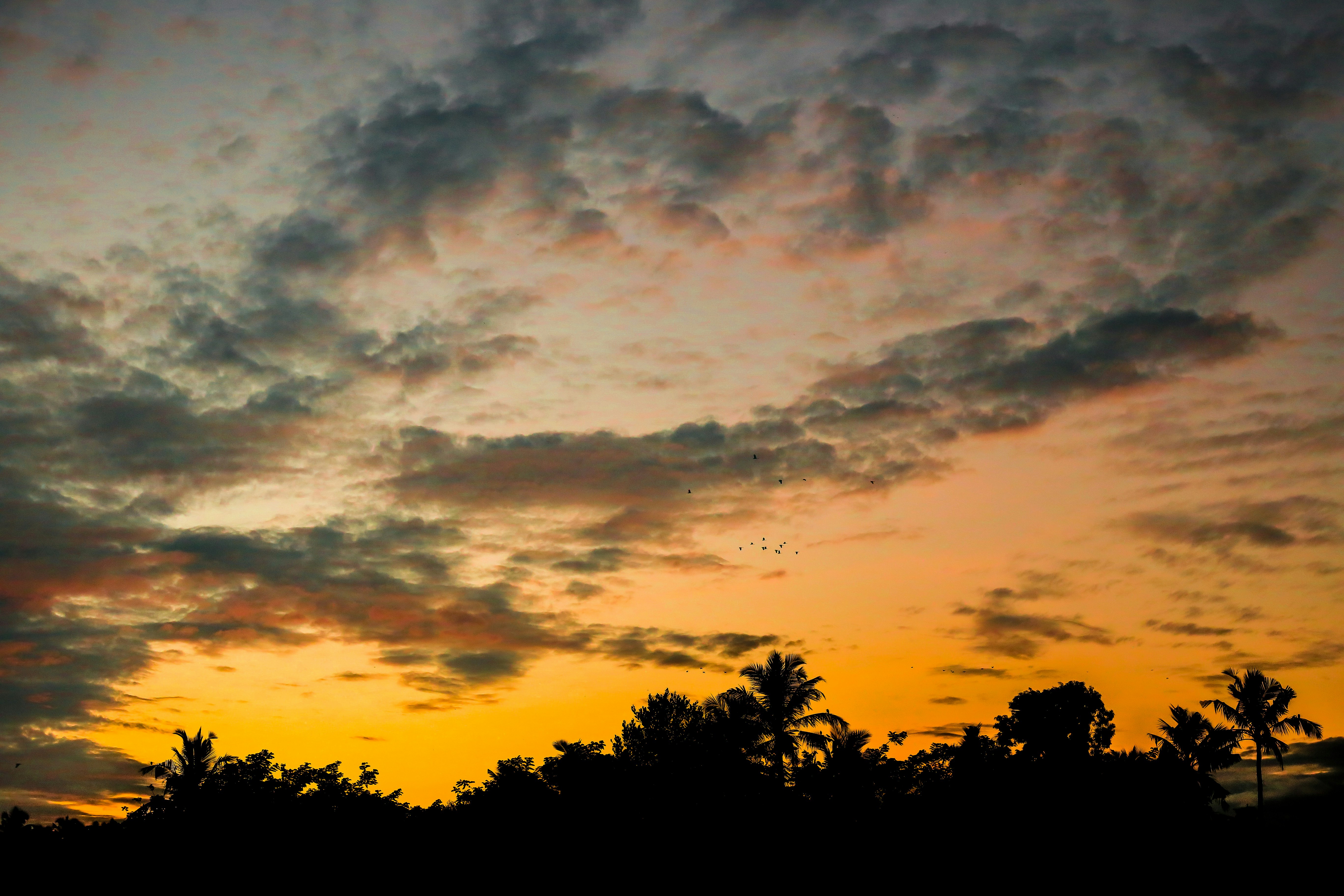 Photo by arununnikrishnan