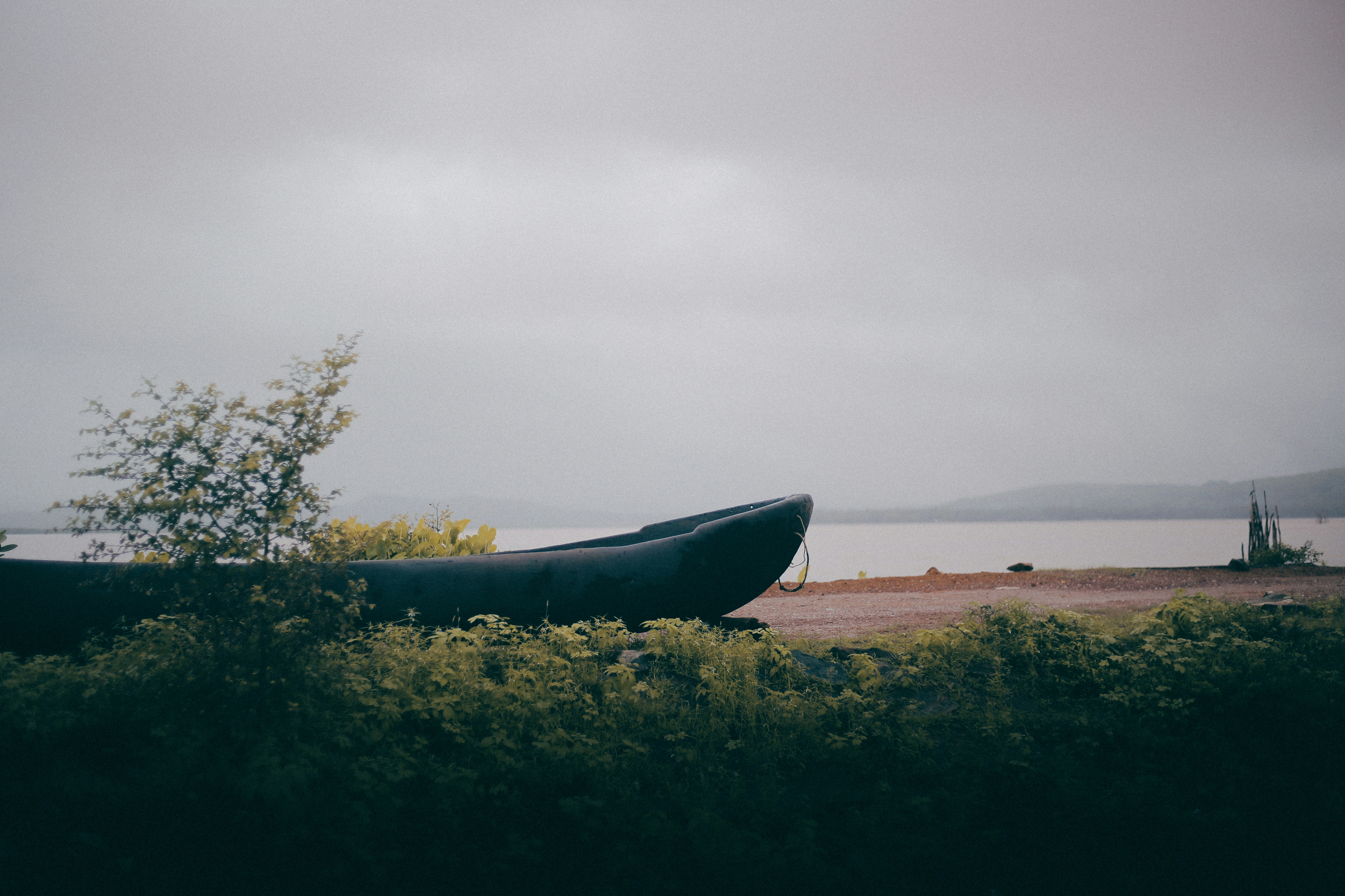 Photo by arununnikrishnan