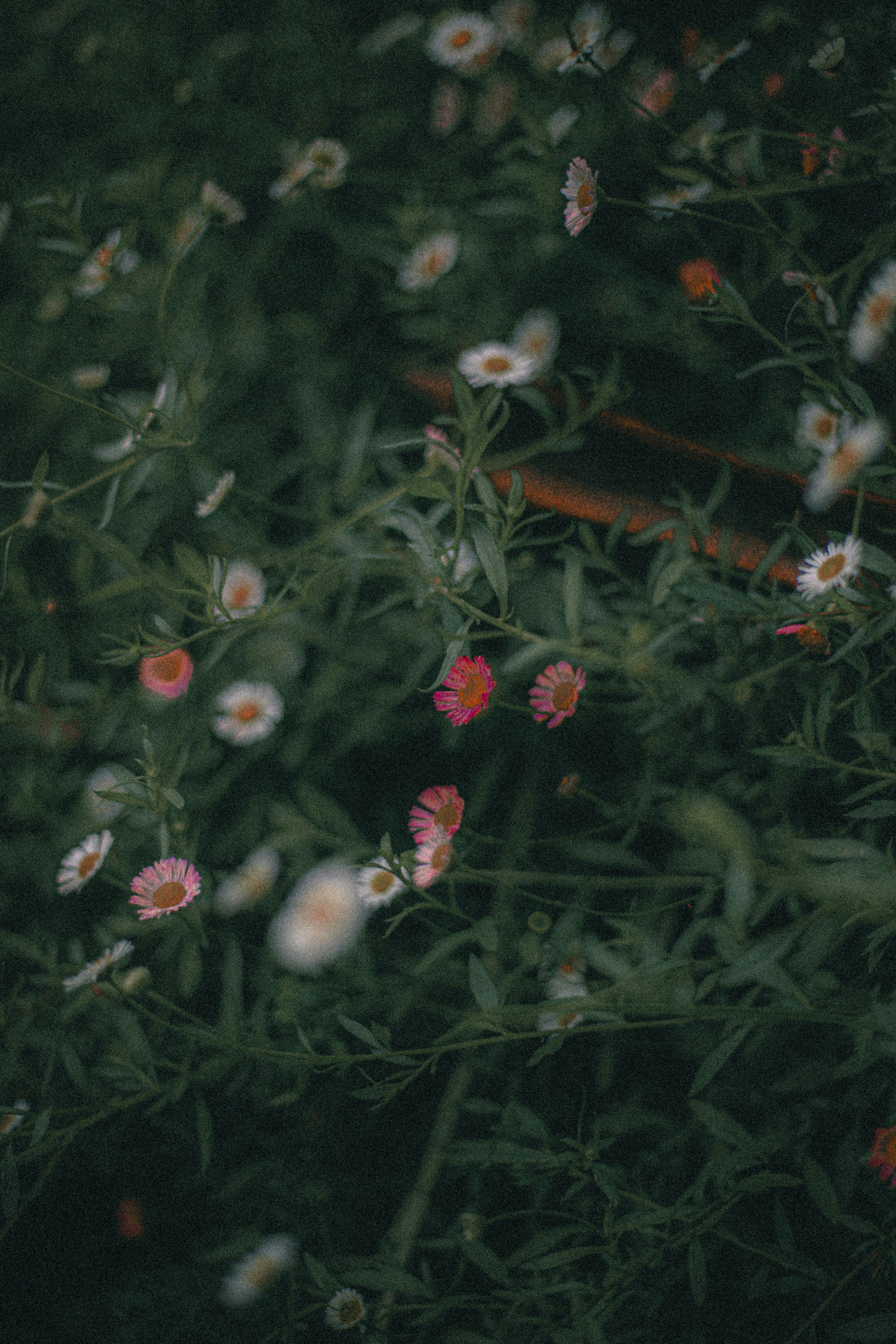 Photo by arununnikrishnan