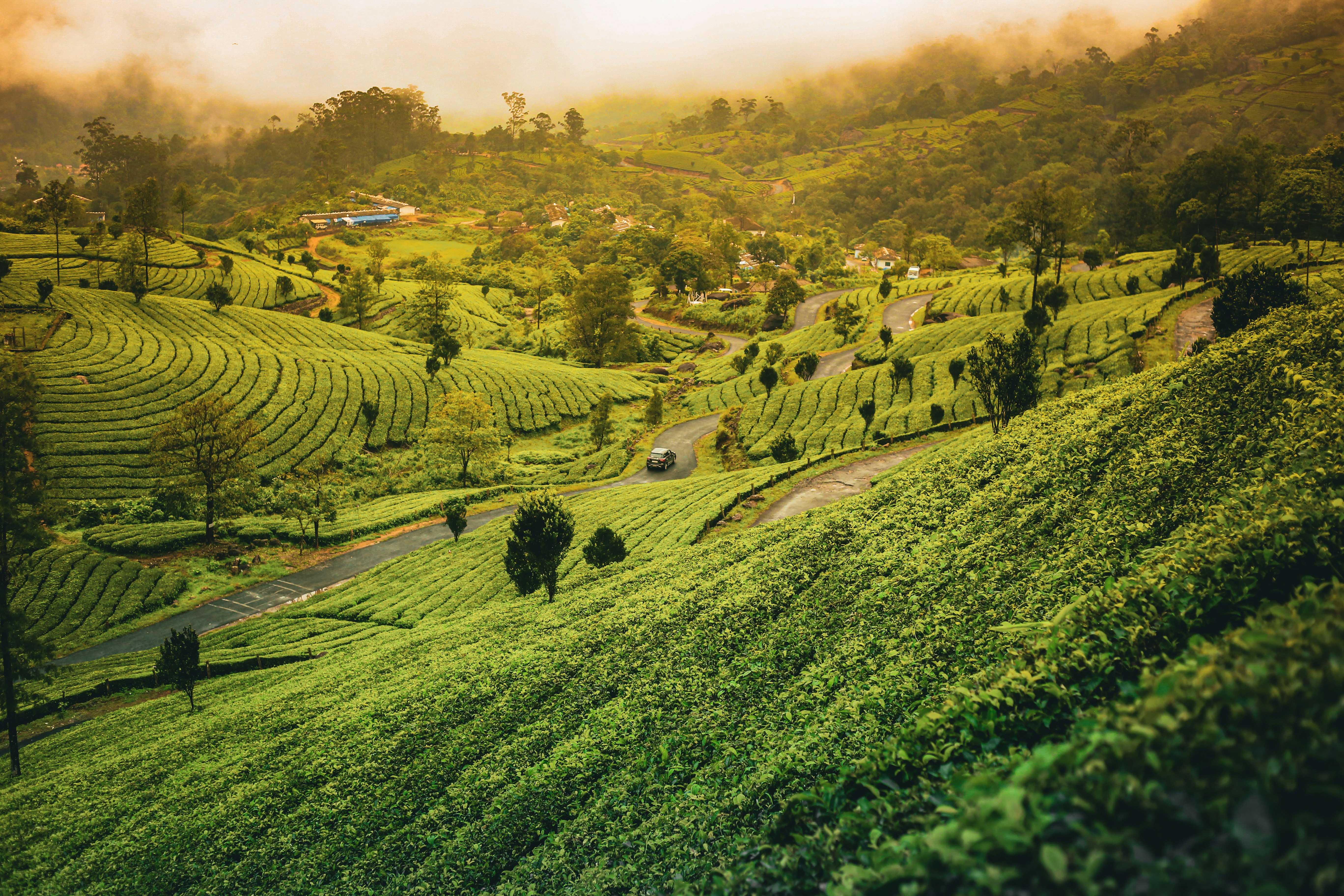 Photo by arununnikrishnan