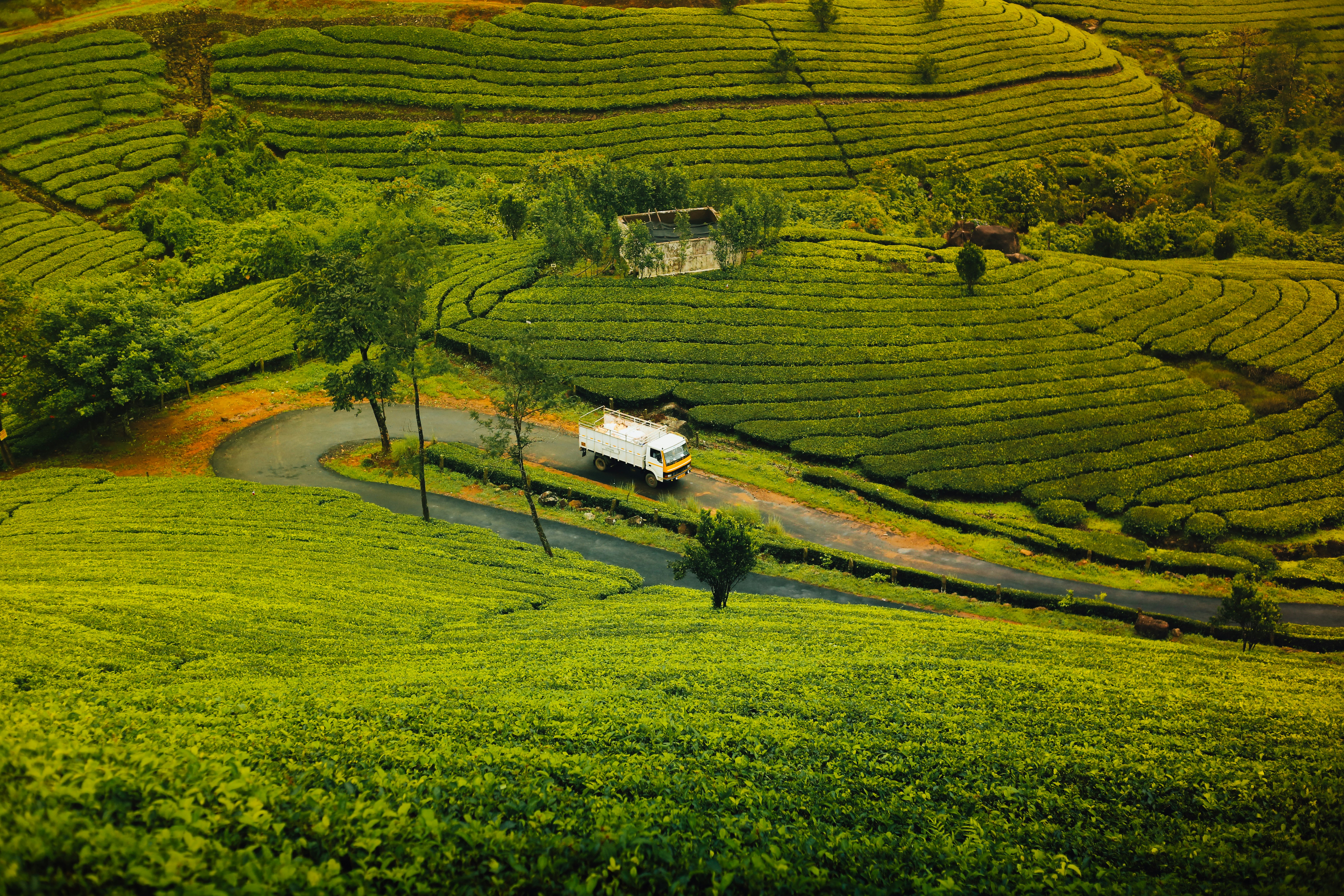 Photo by arununnikrishnan