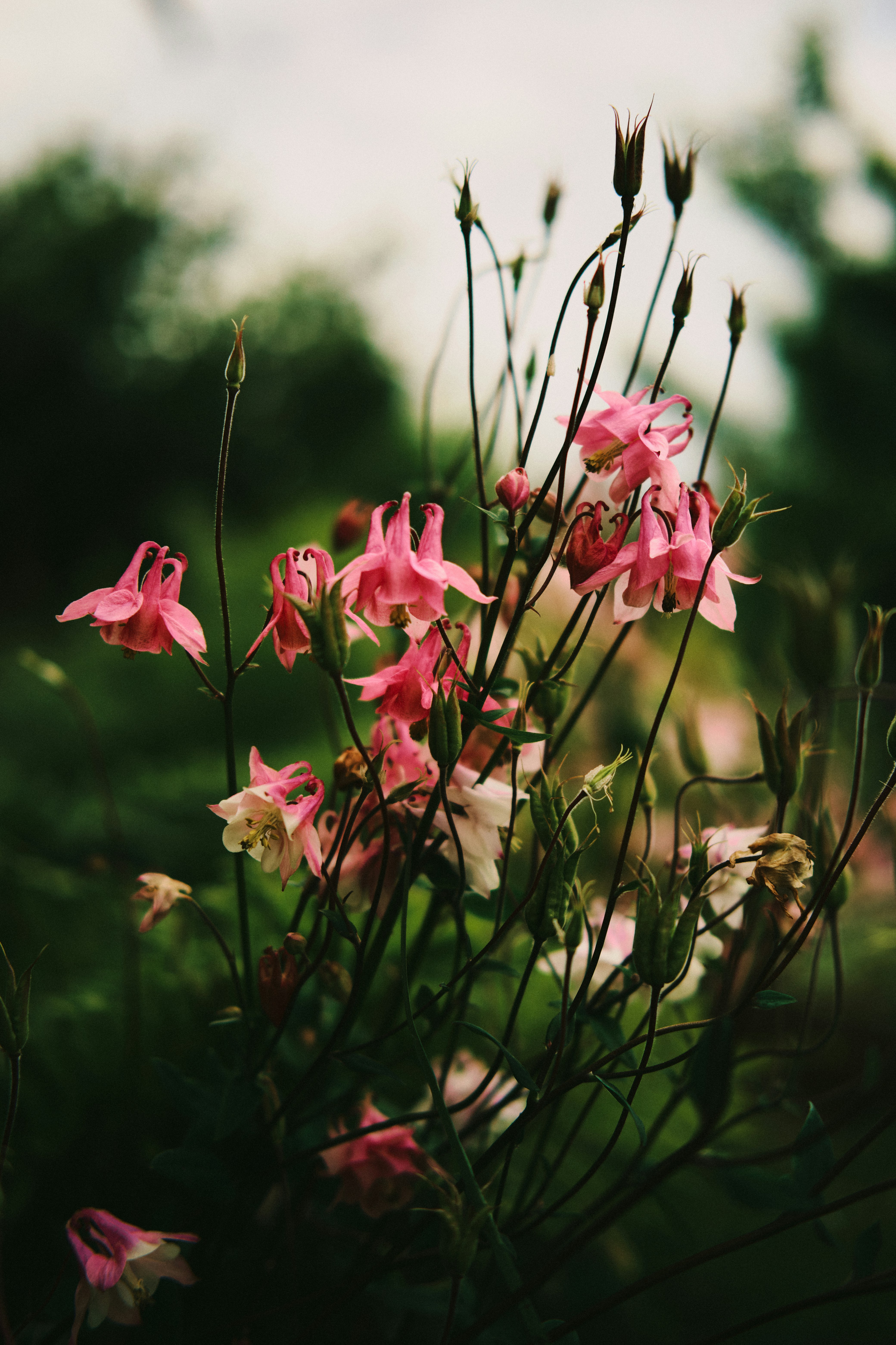 Photo by kazusaki_sagar