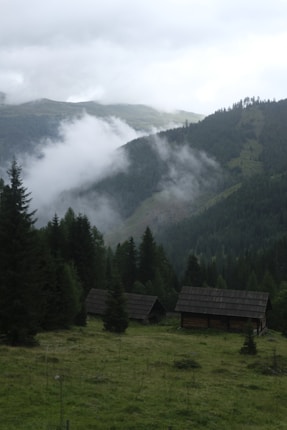 A serene mountain landscape with mist rolling over green forested hills. In the foreground, several rustic wooden cabins are nestled among tall pine trees. The sky is overcast, adding a moody atmosphere to the scene.