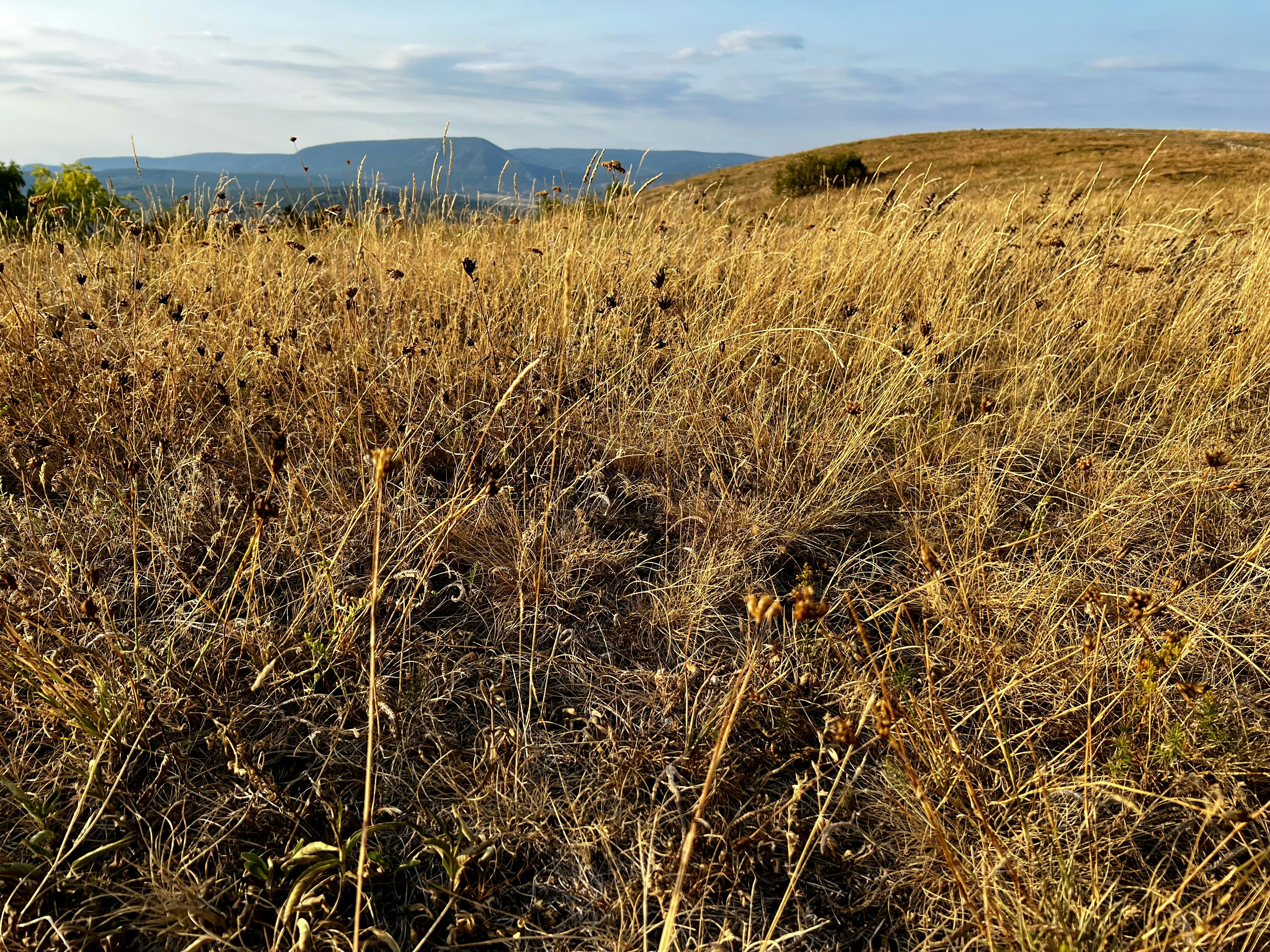 Photo by sandorfehervari