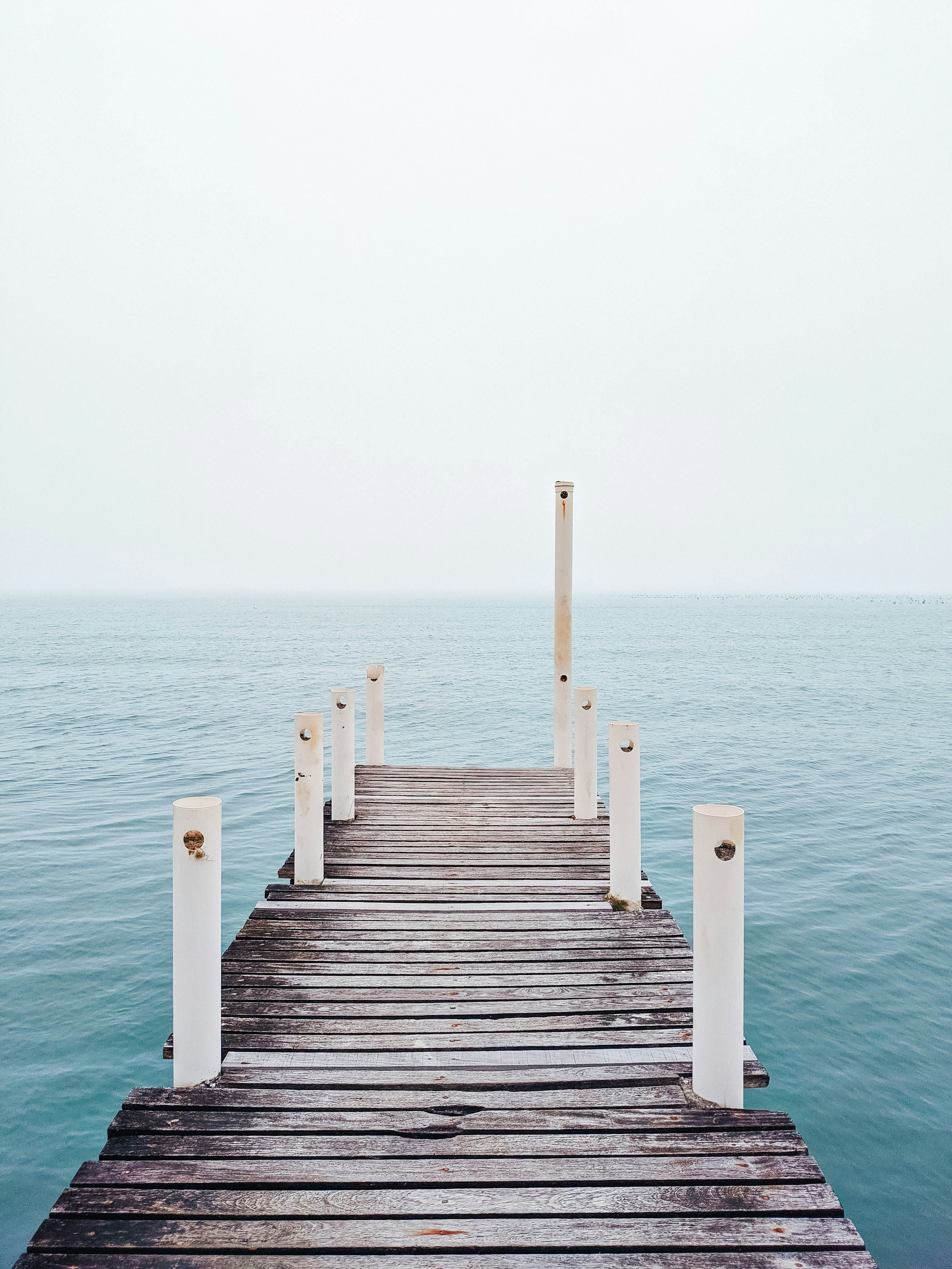 Photo by claitonconto