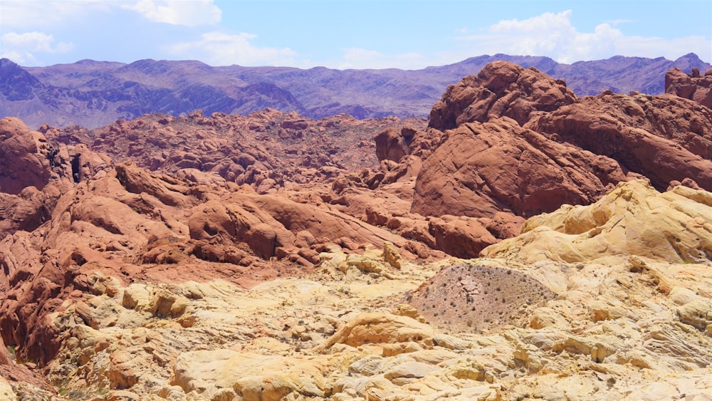 a rocky desert landscape with Red Rock Canyon National Conservation Area in the background