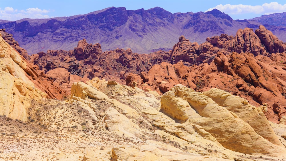 a rocky desert landscape