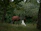 A peaceful scene of a person sitting beside a horse under tall trees, sharing a quiet moment.