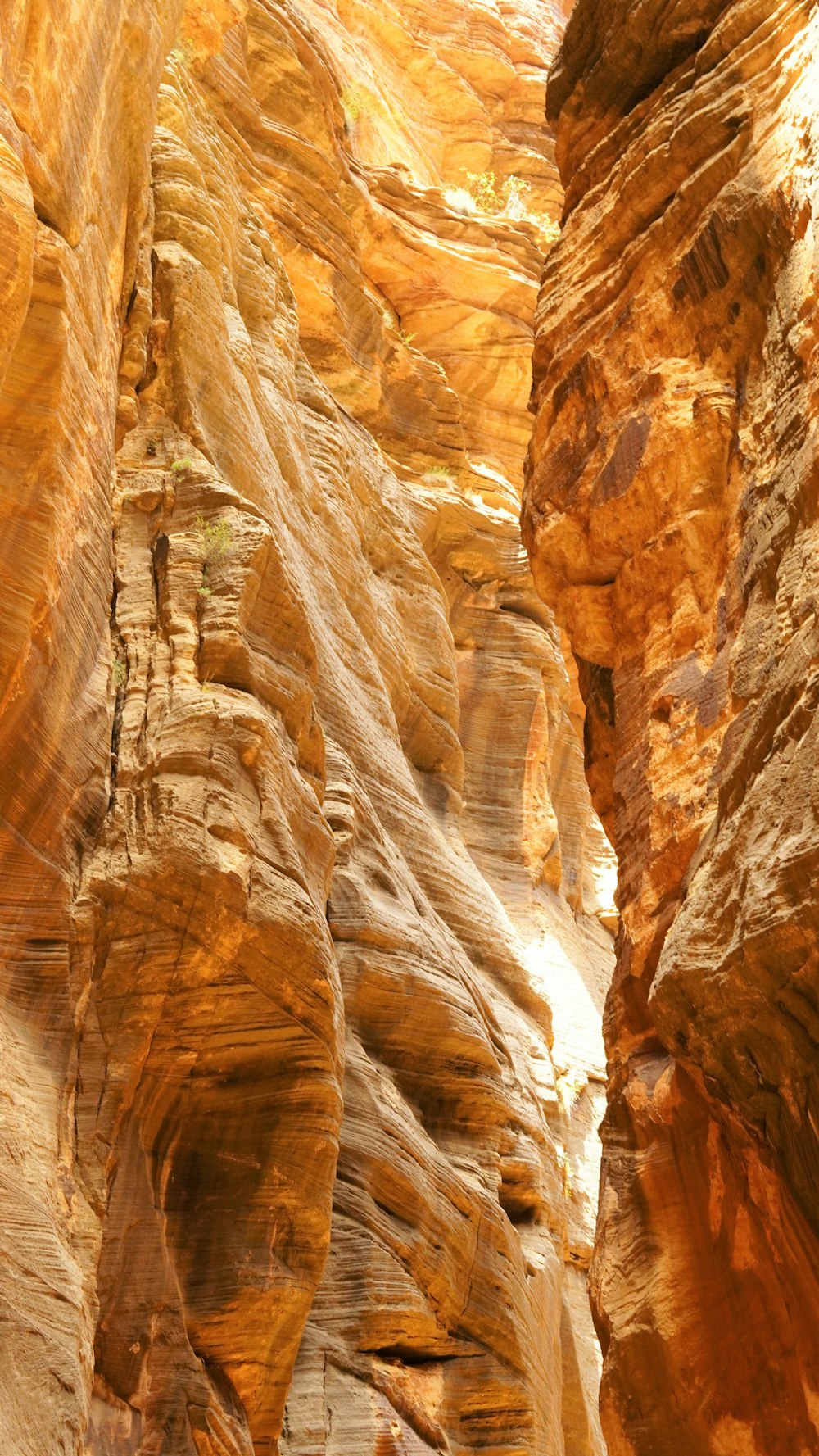 a canyon with a river running through it