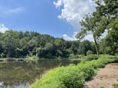 A serene nature scene symbolizing peace and mental clarity.