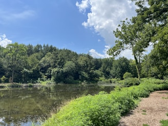 A serene outdoor scene symbolizing mental clarity and peace.