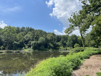 A serene landscape symbolizing peace and privacy.