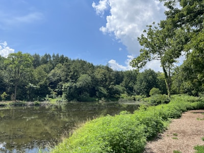 A serene landscape symbolizing peace and privacy.