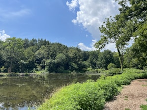 A serene nature scene, reflecting mindfulness and tranquility.