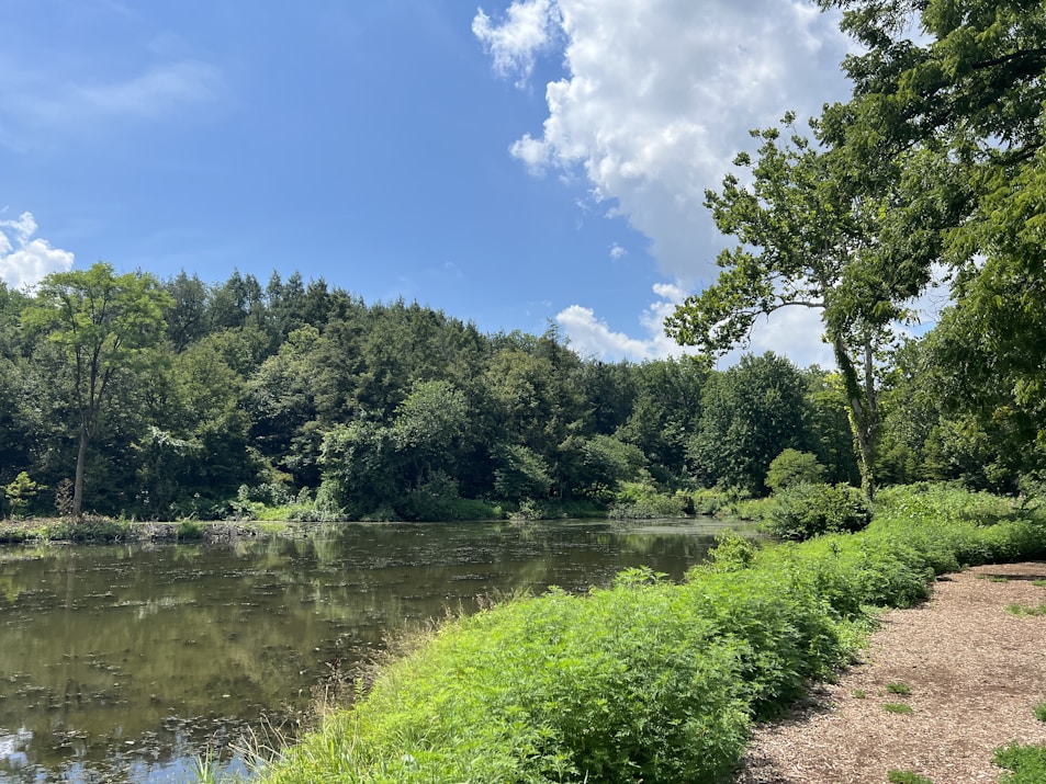 A serene nature scene symbolizing peace and mental clarity.