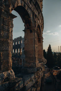 The historic Roman theater ruins in Arles surrounded by olive trees and golden sunlight.