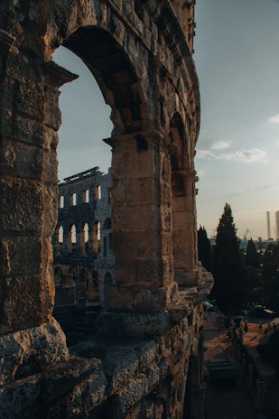 The historic Roman theater ruins in Arles surrounded by olive trees and golden sunlight.