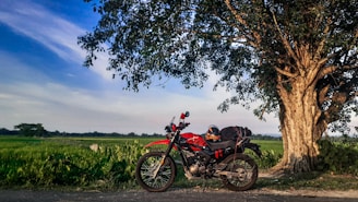 A motorcycle parked on a rural roadside next to a large tree. The background features a green field under a clear blue sky with scattered clouds. The motorcycle is equipped with a helmet and luggage.