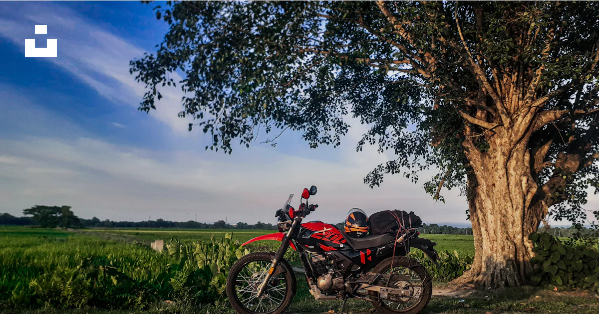 Tree On Motorcycle A motorcycle parked next to a tree photo – Free Offroad Image on Unsplash