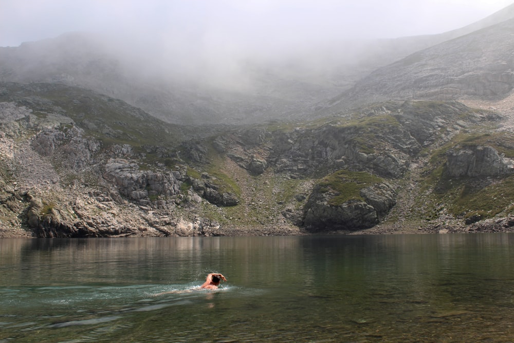 a person swimming in a body of water with a mountain in the background